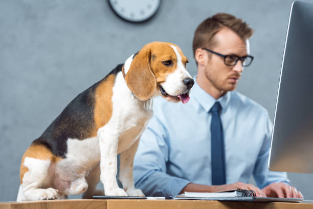 Beagle Financial Services: A Modern Solution for Managing Your 401(k) and Retirement Savings 