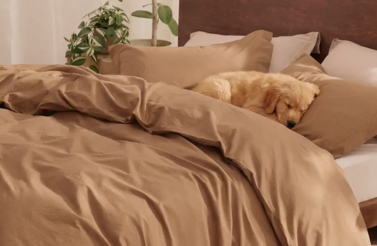 Bedding Fabrics: A Complete Guide to Materials, Comfort, Durability, and Smart Sourcing