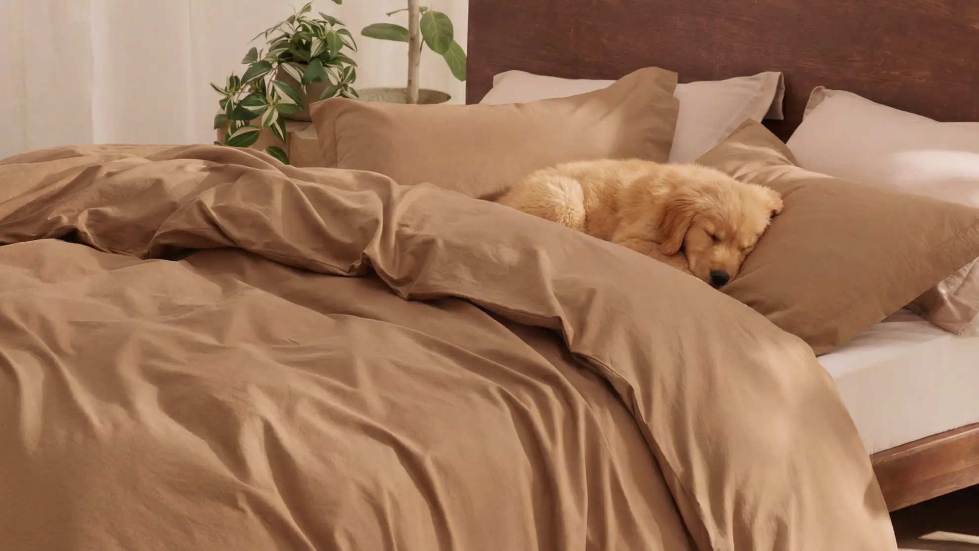 Bedding Fabrics: A Complete Guide to Materials, Comfort, Durability, and Smart Sourcing